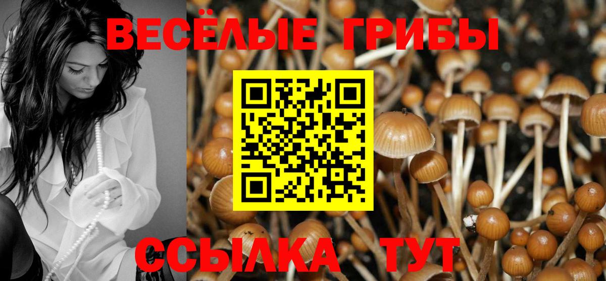 Лениногорск  Псилоцибиновые грибы GOLDEN TEACHER  Вход с VPN  Псилоцибиновые грибы ЛСД 