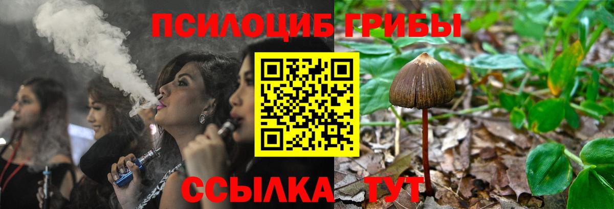 Галлюциногенные грибы мухоморы Лениногорск